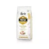 Brit Fresh Adult sausā barība pieaugušiem suņiem 12 kg, vista, ābols, griķi, kartupelis
