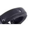 Beyerdynamic DT 770 Pro 80 Ω Melns Limited Edition - slēgtas studijas austiņas