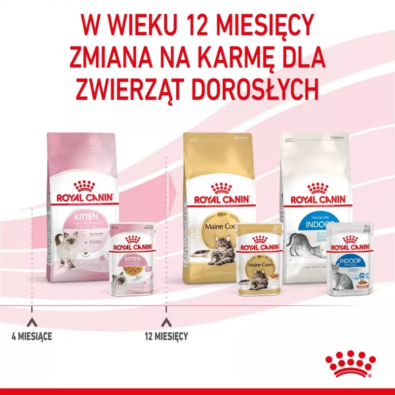 Mitrā kaķēnu barība Royal Canin Kitten Jelly 85 g — vistas garša, 85 g paciņa, 12 gab.