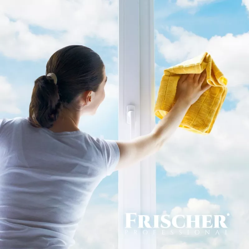 Stiklu tīrītājs FRISCHER FR00233_500 0,5 L ar pretaizsvīšanas funkciju