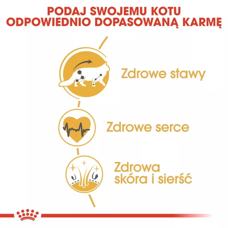 Sausā kaķu barība Royal Canin Maine Coon Adult 10 kg — mājputnu gaļa (vista), 31% olbaltumvielu, 20% tauku