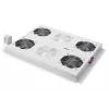 Digitus DN-19 FAN-4-SRV produkts pelēkā krāsā