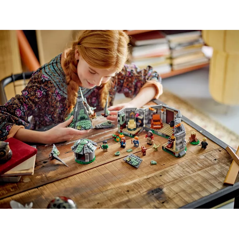 LEGO HARRY POTTER 76428 Hagrida būda - Negaidīts apmeklējums