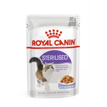 ROYAL CANIN FHN Sterilised mērcē - mitrā barība pieaugušiem kaķiem - 12x85g