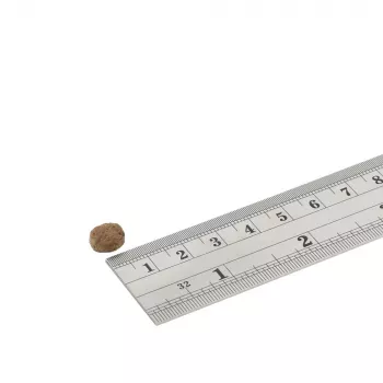 Sausā suņu barība FISH4DOGS Superior Senior S Salmon — senioriem, mazo šķirņu suņiem, 1,5 kg, 22% olbaltumvielu, 7% tauku