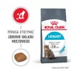 Royal Canin Urinary Care sausā kaķu barība 4 kg