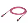 Optiskās šķiedras kabelis MPO/UPC Ubiquiti UACC-OFC-MA-MPMP-3M-10 3m OM4