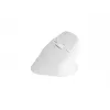 NATEC Crake 2 pele, universāla, labročiem, RF bezvadu + Bluetooth optiskā 2400 DPI