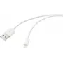 Renkforce USB kabelis USB 2.0 USB-A spraudnis, Apple Lightning spraudnis 2.00 m balts (matēts) RF-5724086 (RF-5724086)
