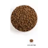 ACANA Dog Puppy - sausā suņu barība - 11,4kg