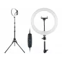 TRACER RING 30cm gredzena gaisma ar statīvu 210cm