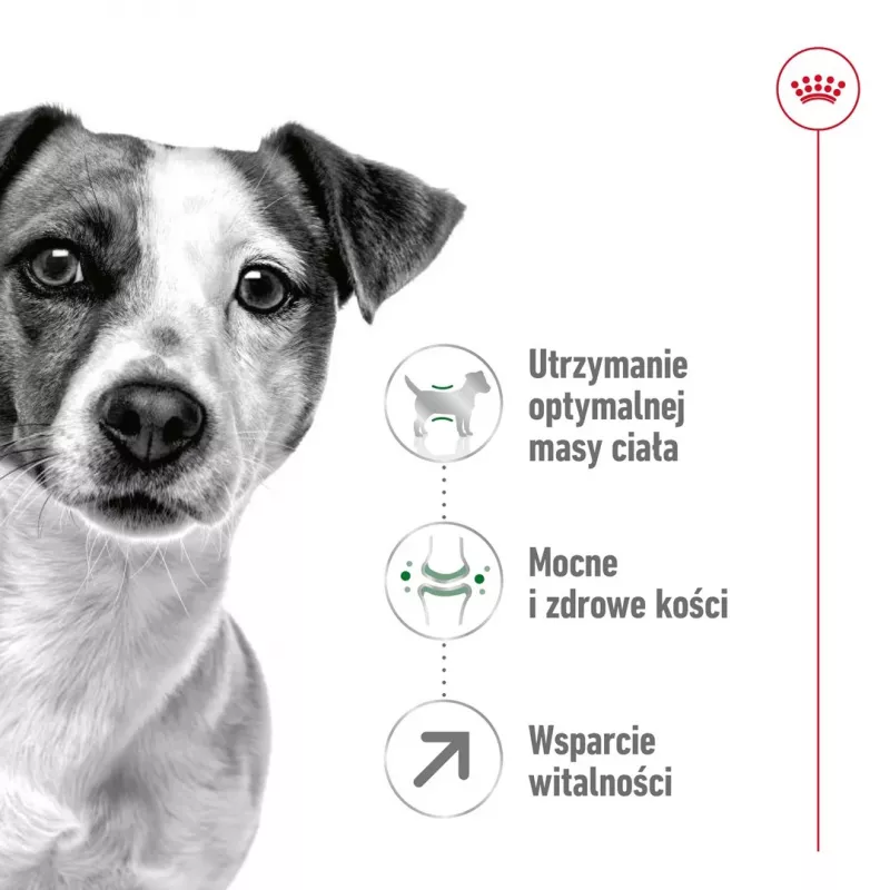 Sausā suņu barība Royal Canin Mini Adult 8+ Senior ar mājputnu gaļu un rīsiem, dārzeņiem, 8 kg, mazu šķirņu suņiem (5–10 kg)
