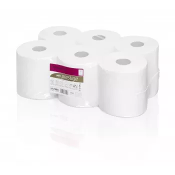 WEPA Centre Feed Rolls for Feed point system RPCB2150 - FP, 2-kārtu 150 m 600 loksnes, 20x25, Celuloze