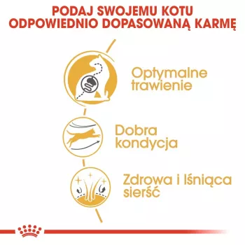 Graudaugu sausā kaķu barība Royal Canin Bengal Adult 2 kg — mājputnu gaļa, 40% olbaltumvielu, 18% tauku, gremošanas un ādas kopšana