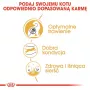 Royal Canin Bengal Adult sausā barība kaķiem, 2 kg, putnu gaļa un dārzeņi