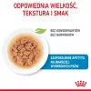 ROYAL CANIN SHN Mini Puppy mērcē - mitrā kucēnu barība - 12X85g