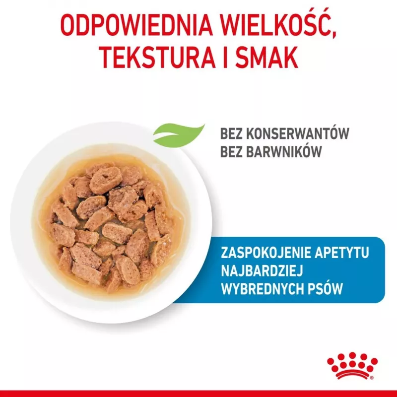 ROYAL CANIN SHN Mini Puppy mērcē - mitrā kucēnu barība - 12X85g