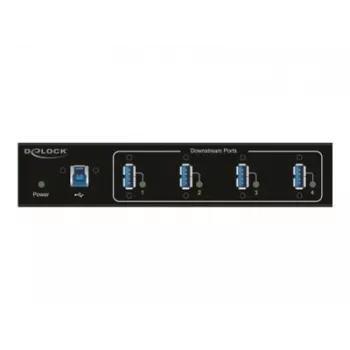 Interfeisa centrmezgls USB 3.2 Gen 1 DeLOCK 63309