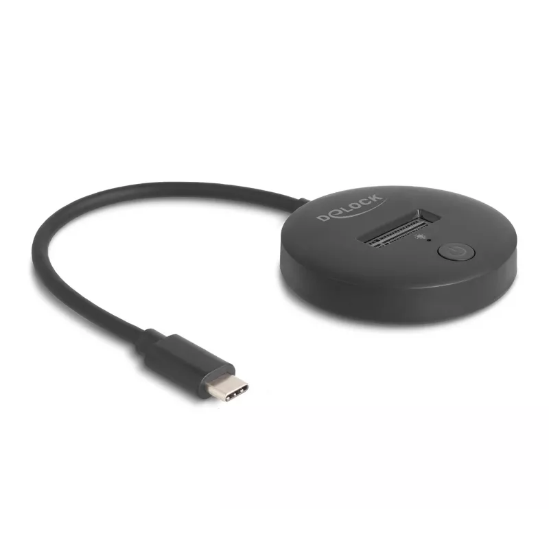 M.2 dokstacija DeLOCK 64254 USB 3.2 Gen 1 Type-C NVMe SATA