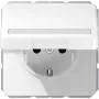 Iebūvējamā kārba JUNG CD 1520 BFNAKL WW Schuko Type F 16A 250V Balta