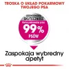 Sausā suņu barība Royal Canin Mini Exigent 1 kg — mazas šķirnes senioriem, 30% olbaltumvielu, 22% tauku