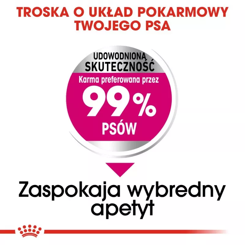 Sausā suņu barība Royal Canin Mini Exigent 1 kg — mazas šķirnes senioriem, 30% olbaltumvielu, 22% tauku