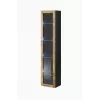 Vitrīna Cama Meble VIGO 180 pie sienas stiprināma stikla vitrīna 1800×400×300 mm melna/wotan ozols