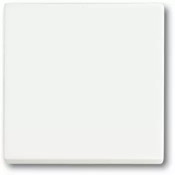 Gaismas slēdzis Busch-Jaeger 1751-0-3027 — plastmasas korpuss, balts, pogu vadība, 63×63 mm