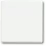 Gaismas slēdzis Busch-Jaeger 1751-0-3027 — plastmasas korpuss, balts, pogu vadība, 63×63 mm