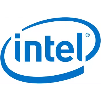 Intel Remote Management Module 4 Lite 2 - Fernverwaltungsadapter (AXXRMM4LITE2)