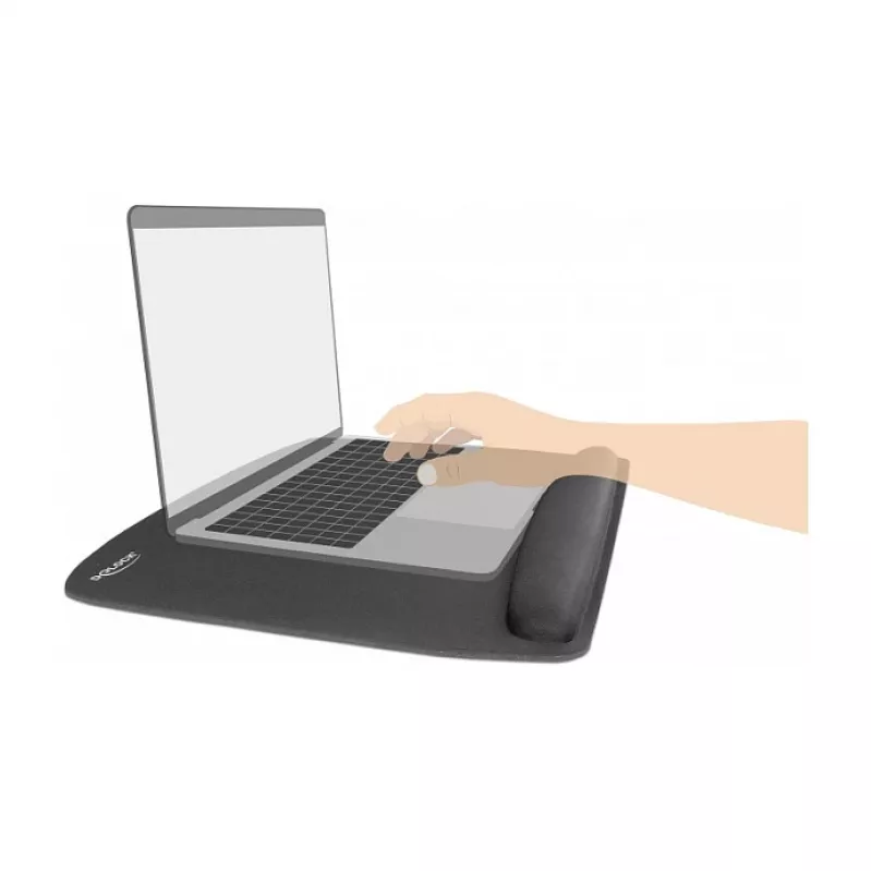 Peles paliktnis DeLOCK 12601