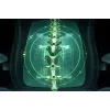 Razer Ergonomic spēļu krēsls with Breathable Comfort | Iskur V2 NewGen | Melns/Green