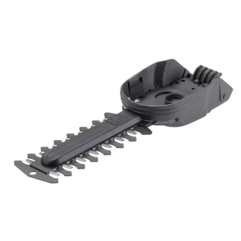 Strauchmesser 12,5cm, rezerves asmens melns