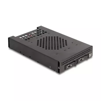 SSD korpuss DeLOCK 47117 3,5 collu mobilais rāmis 2 x M.2 NVMe SSD