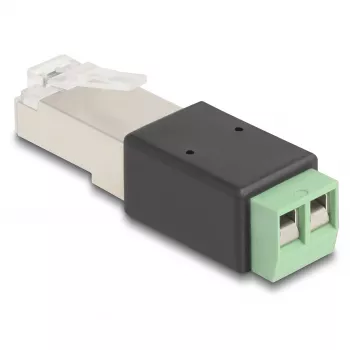 DeLOCK RJ45 spraudnis uz spaiļu bloka adapteri 2 kontaktu 66604 melns zaļš