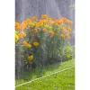 Smilšu šļūtene Gardena 1995-20 7,5m