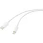 Renkforce USB kabelis USB 2.0 USB-C® spraudnis, Apple Lightning spraudnis 1,00 m balts (matēts) RF-5724078 (RF-5724078)