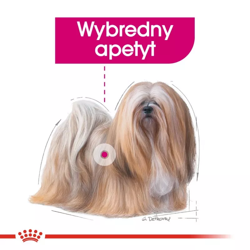 Mitrā suņu barība Royal Canin Exigent Meat Universal 12×85 g — mājputnu gaļa, pieaugušiem, izvēlīgiem suņiem