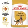 Sausā suņu barība Royal Canin German Shepherd Adult, 11 kg — liela šķirne, mājputnu gaļa, 24% olbaltumvielu, 19% tauku