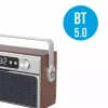 Portatīvais radio MANTA RDI917PRO ar Bluetooth un USB atskaņošanu