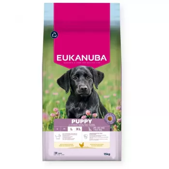 Sausā suņu barība EUKANUBA Puppy Large Chicken 15 kg — formula kucēniem lielu un milzu šķirņu kucēniem, 26,5% olbaltumvielu