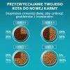 PURINA One Bifensis Sterilcat Beef - sausā kaķu barība - 800 g