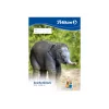 Mākslas papīra bloks Pelikan 224840