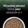 PURINA PRO PLAN LIVECLEAR KITTEN ar tītara gaļu 1,4 kg