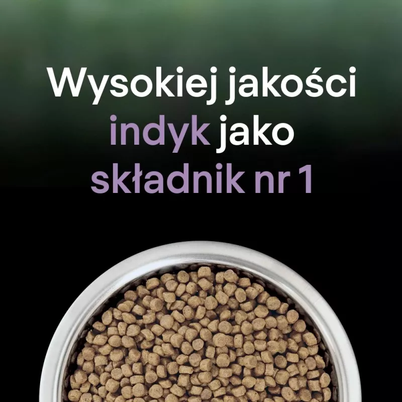 PURINA PRO PLAN LIVECLEAR KITTEN ar tītara gaļu 1,4 kg