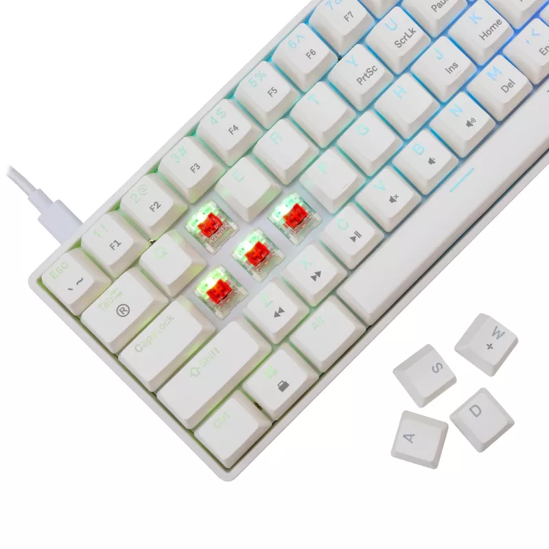 Vadu mehāniskā tastatūra White Shark Shinobi-2 (GK-004211) — ASV izkārtojums, sarkanie slēdži, balta