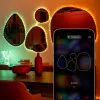 Twinkly Dots 60 RGB USB viedās gaismas, 3 m, melns