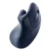 Gembird MUSW-ERGO-03 pele Mājas Labās rokas RF bezvadu Optiskā 1600 DPI