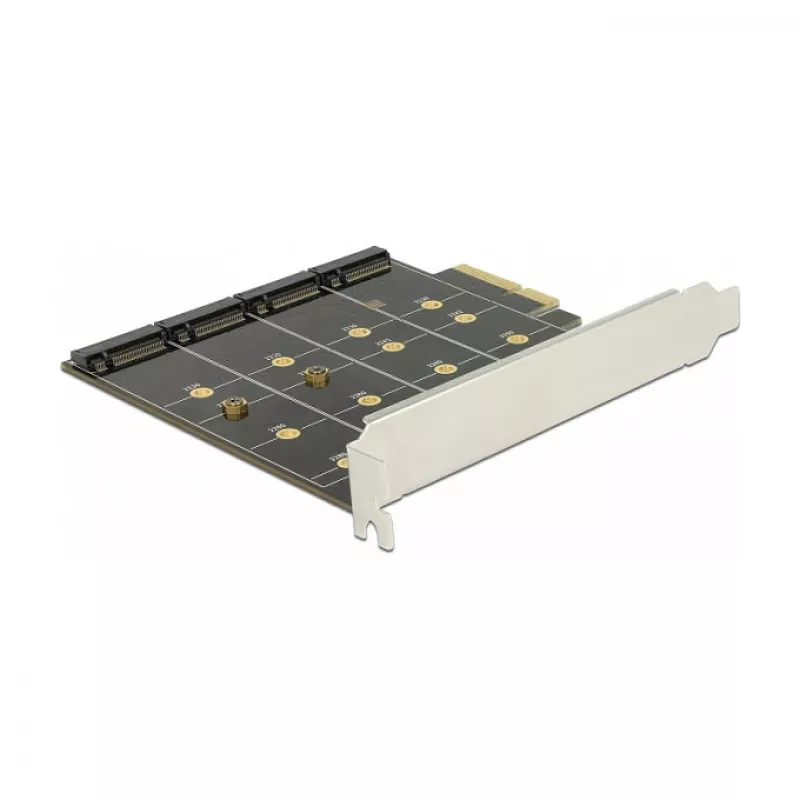 Saskarnes karte DeLOCK 89888