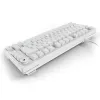 Sharkoon SGK25 75% QWERTZ USB vadu klaviatūra ar RGB LED, balta